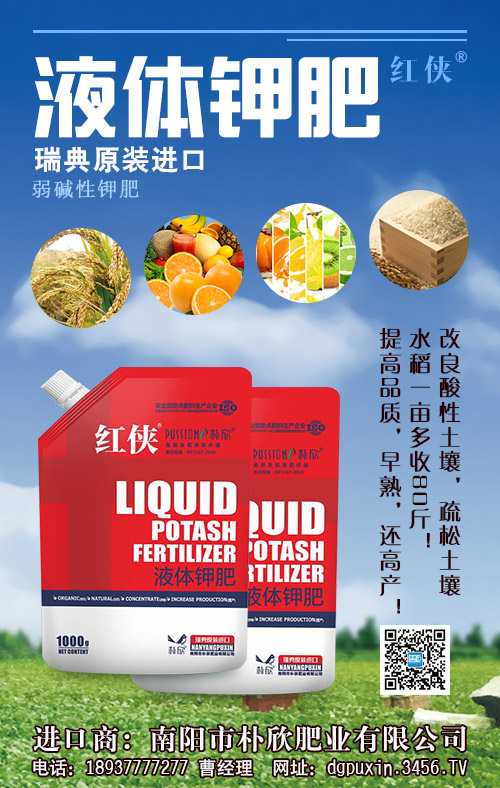 2020-5-19��⛷��Ј�����