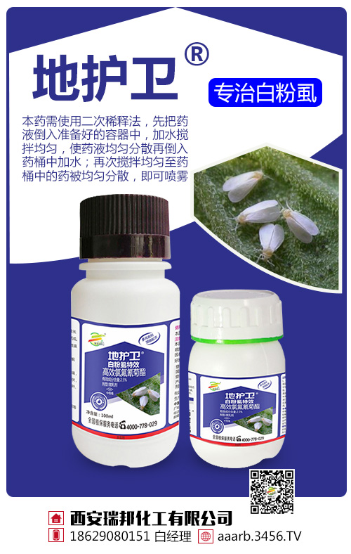 ���o�l(w��i)