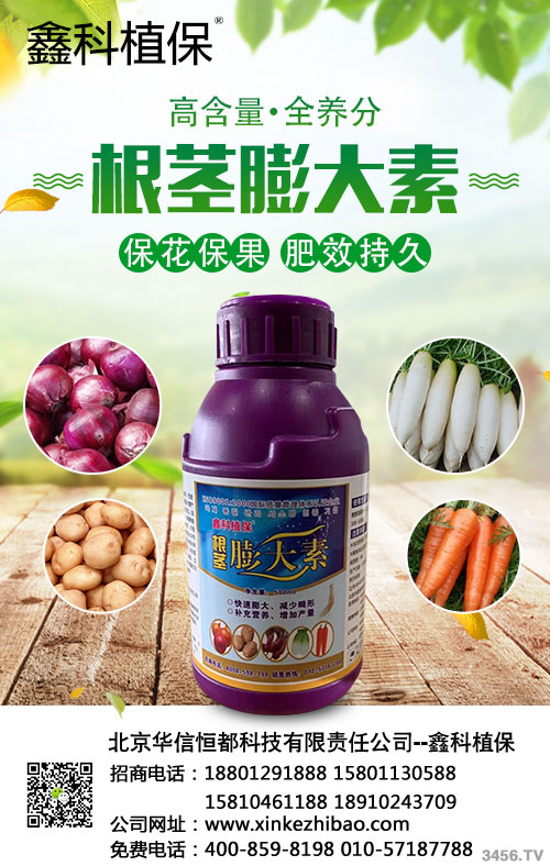 ���o�����