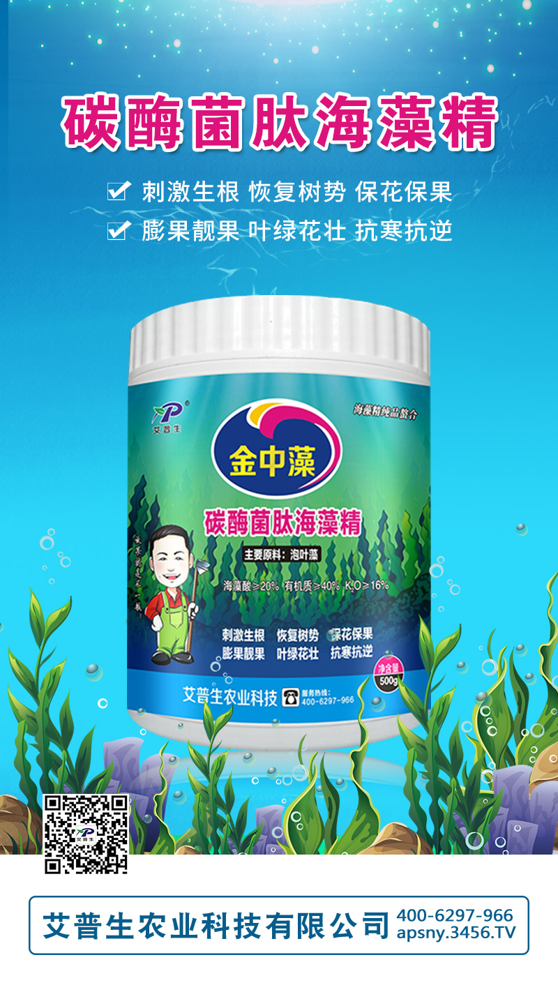 ̼ø���ĺ��徫