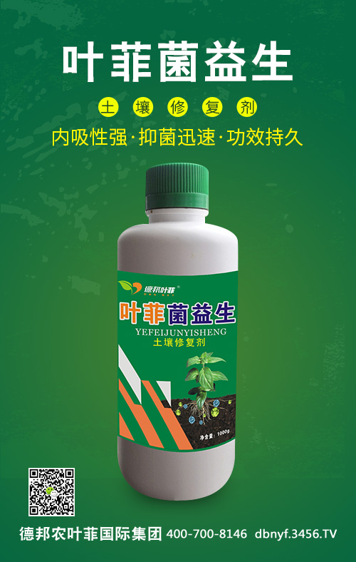 �~�ƾ�����