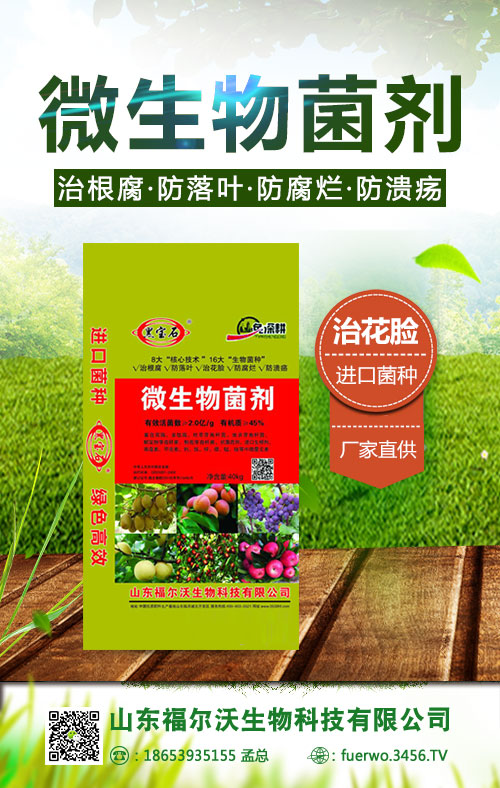 å¾®çç©��å