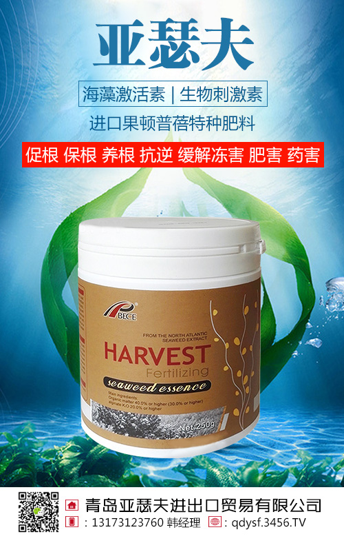 ���弤����������̼���