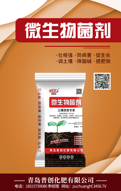 ΢�������