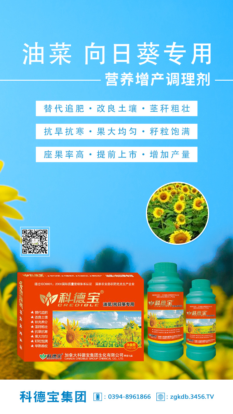 ��(zhu��n)�àI(y��ng)�B(y��ng)���a(ch��n)�{(di��o)�턩