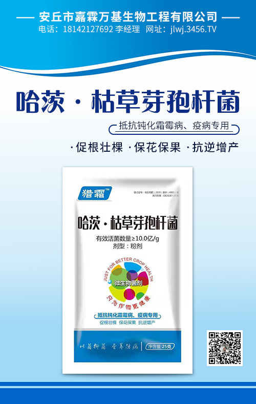 ���ġ��ݲ�ѿ�ߗU��