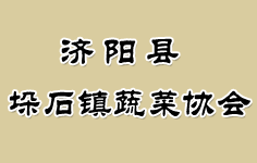 ��(j��)ꖿh��ʯ�(zh��n)�߲˅f(xi��)��(hu��)