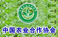 �r(n��ng)�I(y��)�����f(xi��)��(hu��)