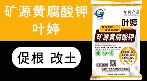 ɽ���V��ͨ�Ƽ��ɷ����޹�˾