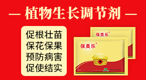 ���ݾG�I(y��)Ԫ�r(n��ng)�I(y��)�Ƽ����޹�˾