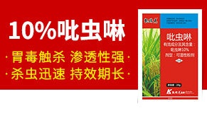 �ӱ��P����r(n��ng)�I(y��)�Ƽ����޹�˾