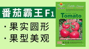 ���������tϲ���＼�g(sh��)���޹�˾