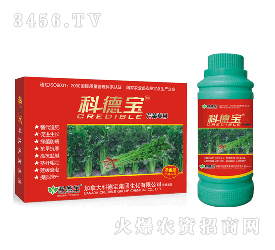 �Ƶ�-�۲ˌ���