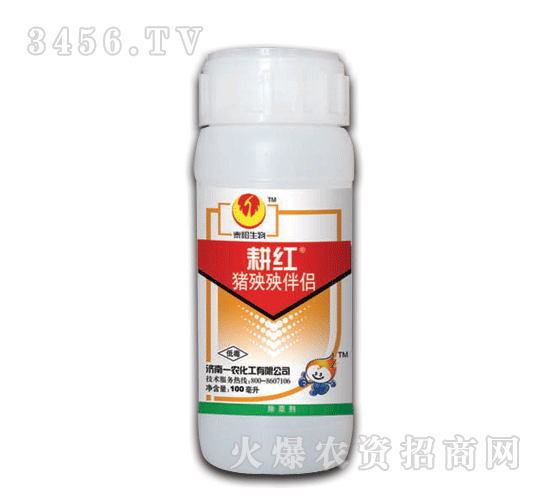 ���t-�i����