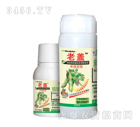 ���w-������(l��)