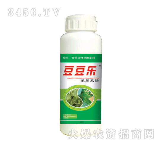 ������(l��)