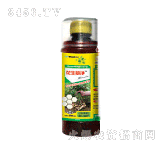 ̩�-�����݃�