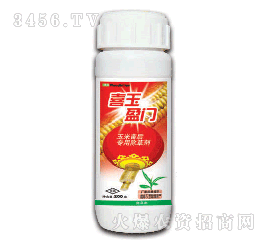 ̩�-ϲ��ӯ�T