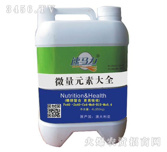 ΢��Ԫ�ش�ȫ4L