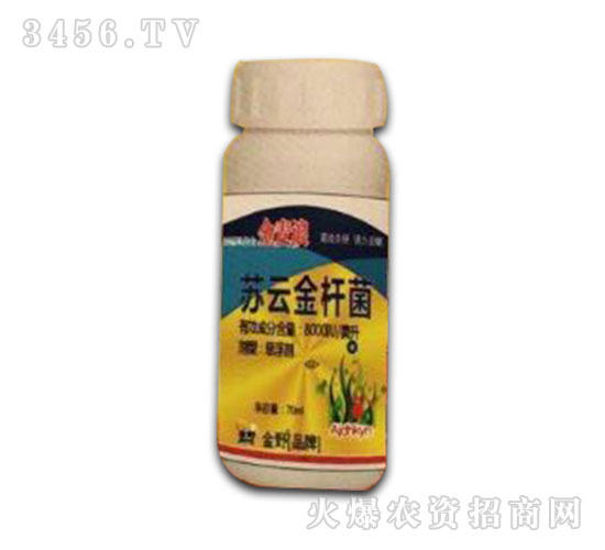 ���x��-�K�ƽ�U��-������-�����r(n��ng)ˎ