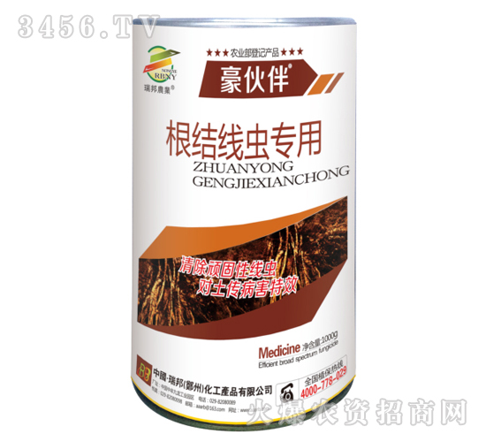 �����x����-�����-�������