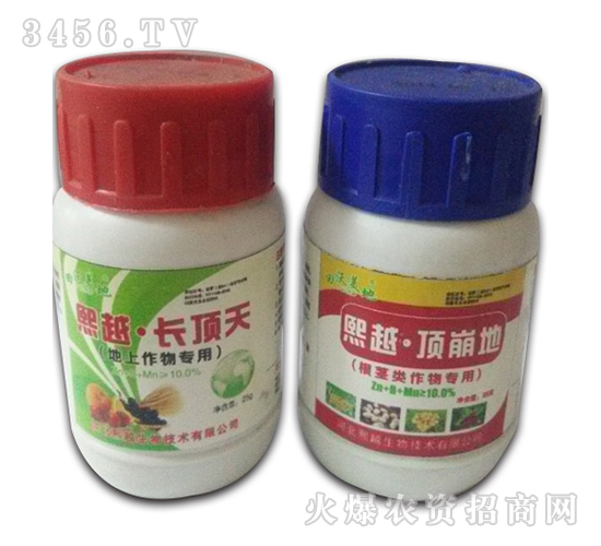 ���o�����-��Խ픱���-��Խ����