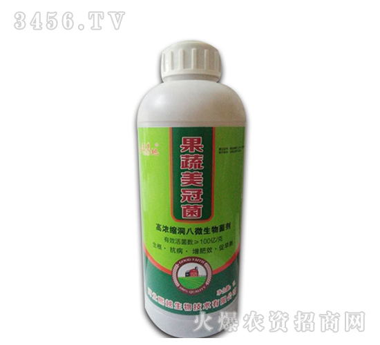 �ߝ�s����΢�������-�������ھ�-��Խ����