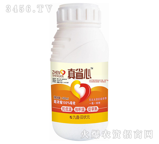 �~���-��ʡ��-���Ԫ