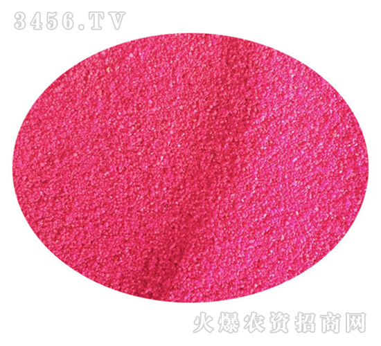 ����(j��)�o���w����-�����r(n��ng)ˎ