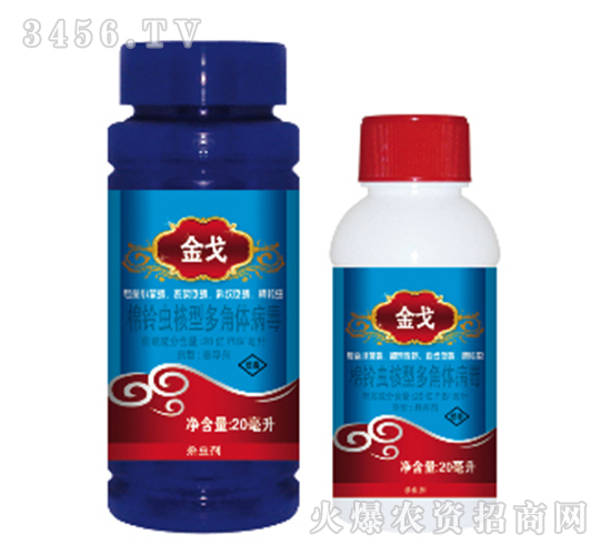 ����x���Ͷ���w����-���-���{(l��n)�r(n��ng)ˎ