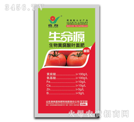 ���t���S�����~���-����Դ-����