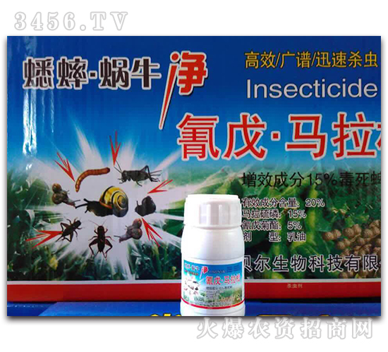 20%���졤�R���ɣ����b��-΁ţ��һ���-ϣ����