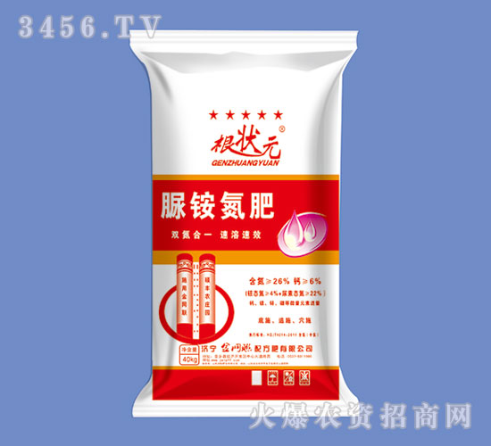 �������@�tɫ�b-����Ԫ-��W(w��ng)(li��n)