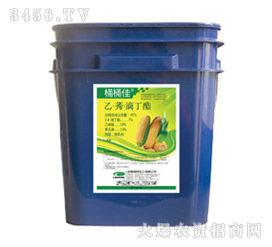 �ҡ�ݬ���ζ���-ͰͰ��-�G��