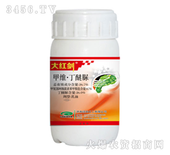 �׾S��������-��t��-�G��