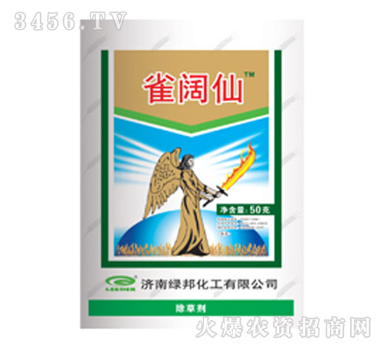 С������݄�-ȸ���-�G��