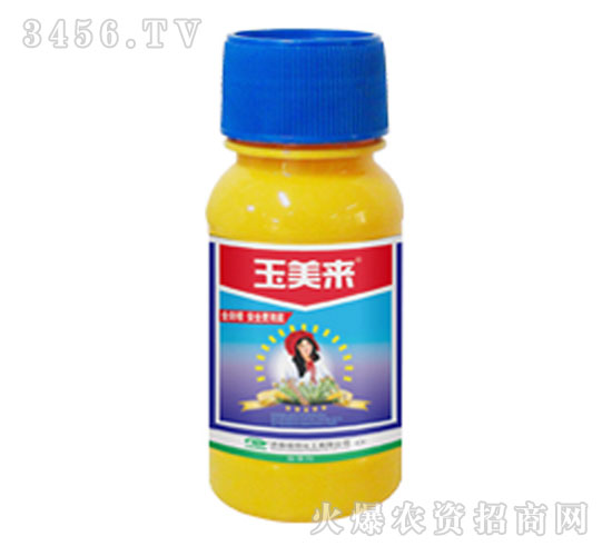 �����������݄�-��������(l��i)-�G��