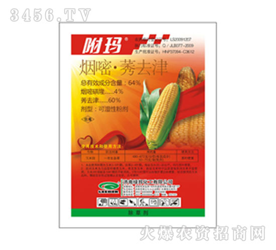 ���ס�ݬȥ��-����-�G��