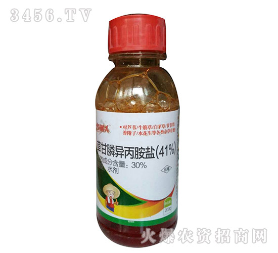 �ݸ��-�Z������