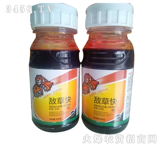 ���ݿ�-�Z������