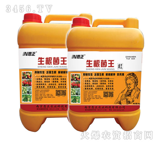 ����������Ͱ�b��-����ĸ-����