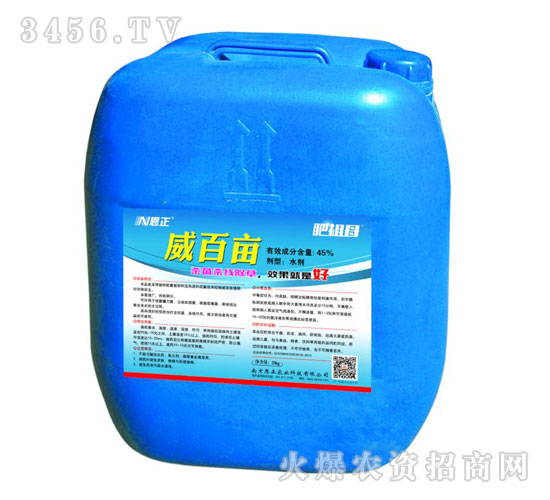 ���ٮ�-����ĸ-����