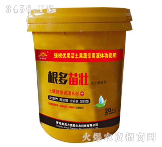 �����ޏ�(f��)�{(di��o)�턩-�������-����