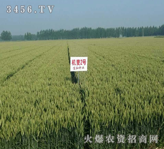 ɽ�r(n��ng)�C(j��)��2̖(h��o)-С��-�|�Ѻ�