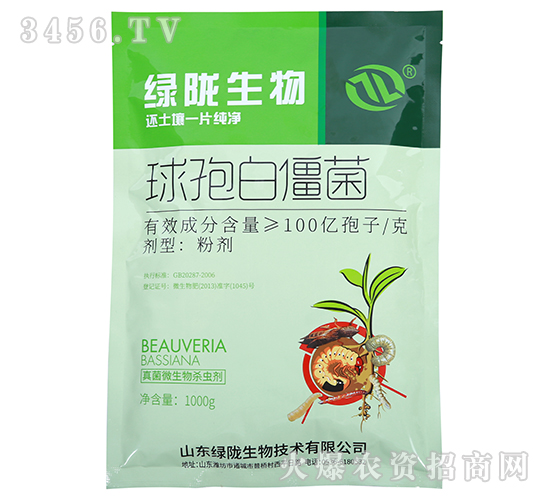 ���߰׽���-�G�]����