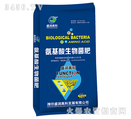 �������������-ʢ���߿�