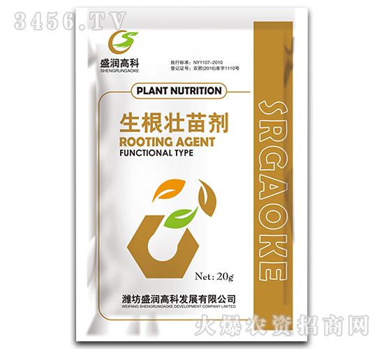 �������焩-ʢ���߿�