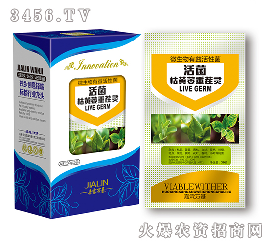 ������Sή�ز��`-�����f��