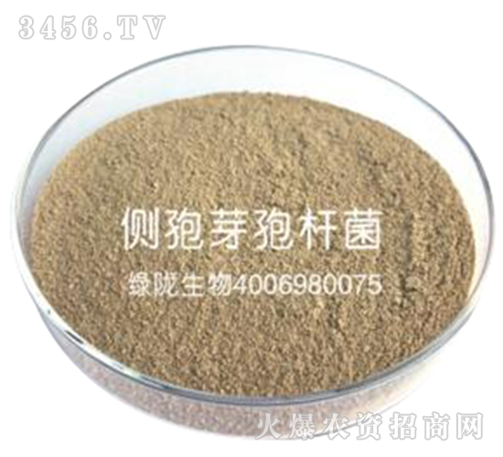 ��(c��)��ѿ�ߗU��100-�G�]����