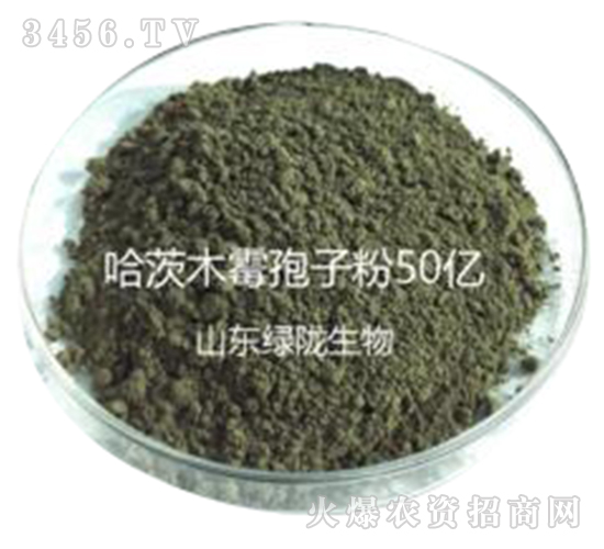 ����ľù-�G�]����